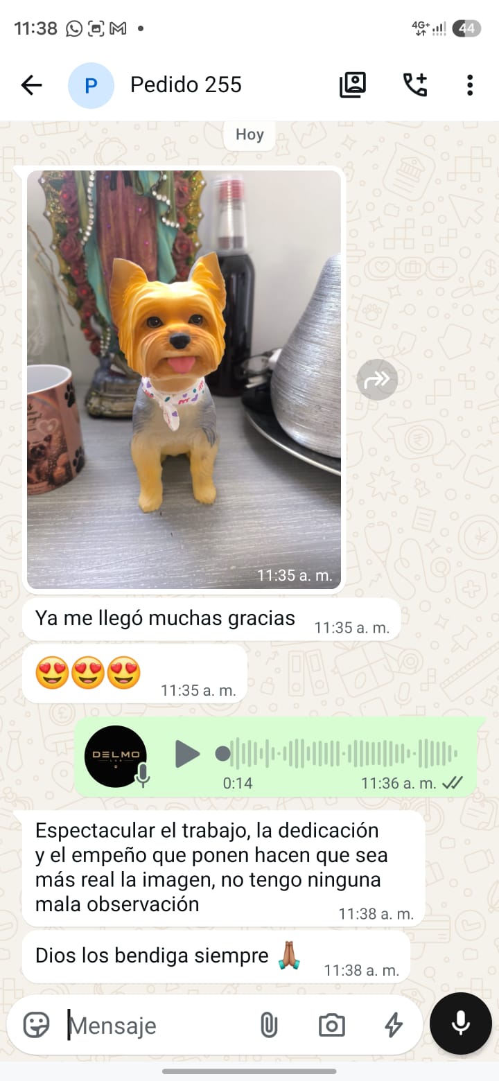 Recomendación de Pedido 255 vía WhatsApp