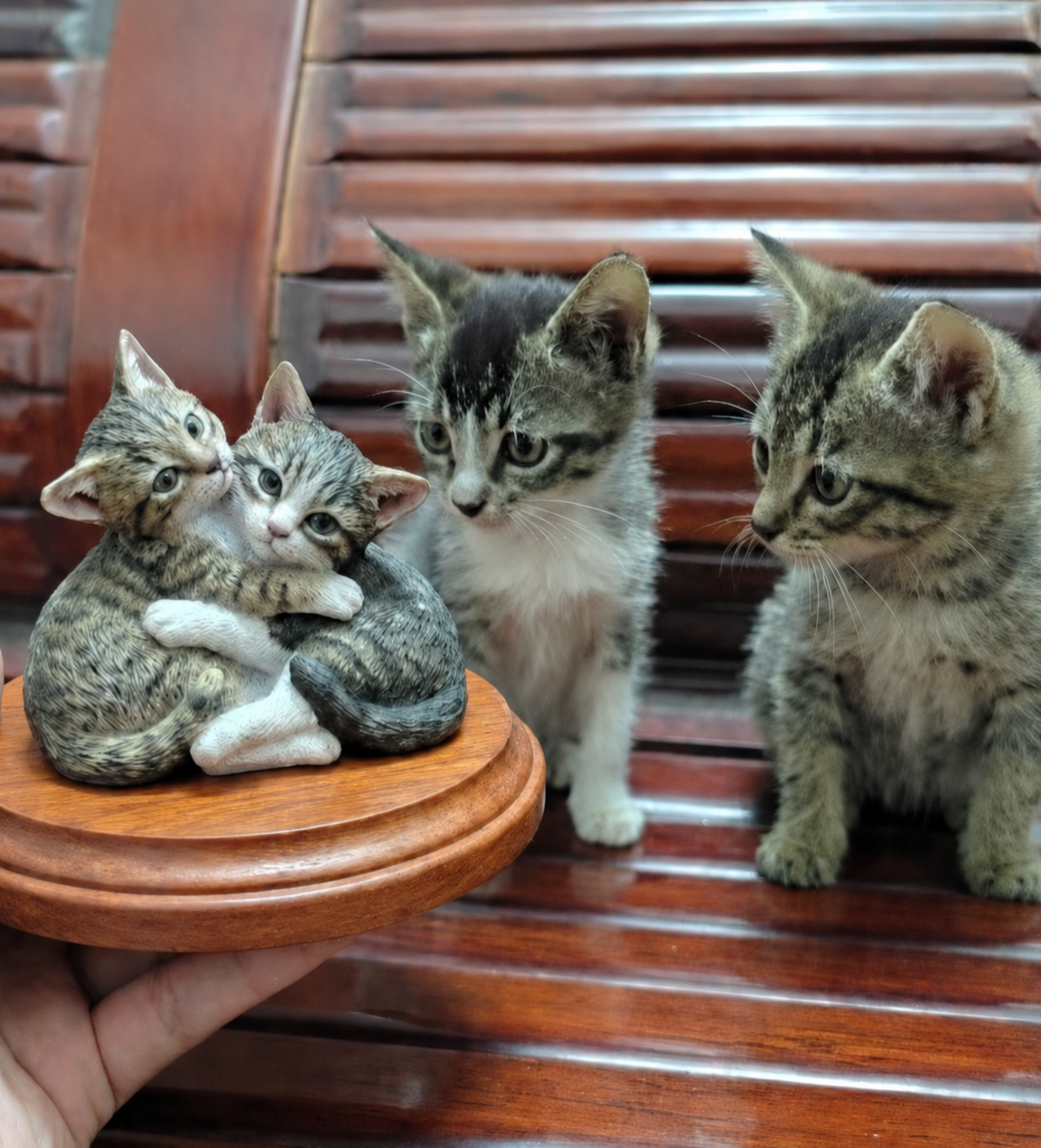 Escultura de gatos