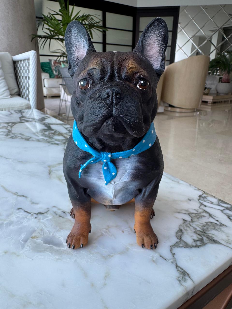 Foto real del bulldog